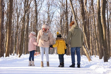 Family walking in sunny snowy forest, back view