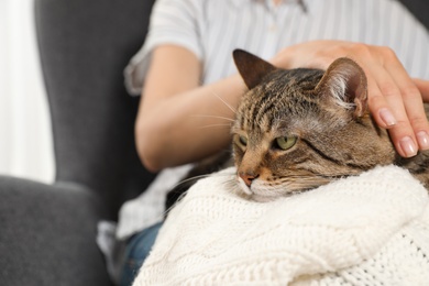 Photo of Owner holding cute tabby cat indoors, closeup. Friendly pet