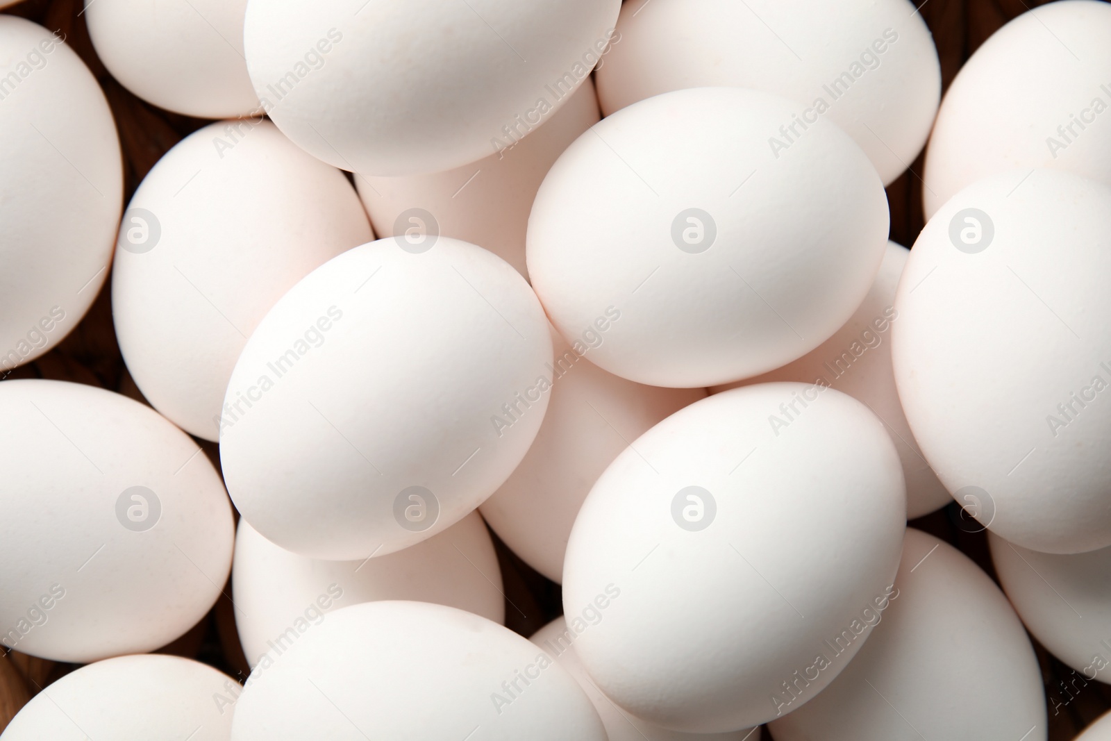 Photo of Pile of raw white chicken eggs, top view