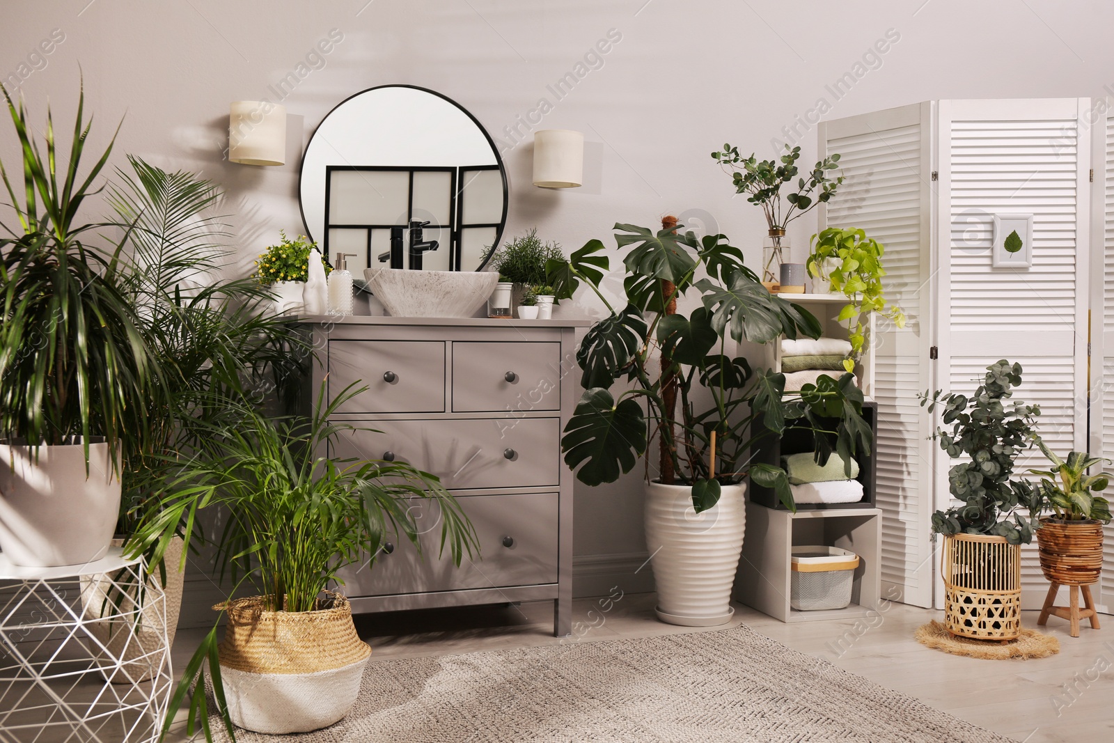 Photo of Stylish bathroom interior with modern furniture and beautiful green houseplants