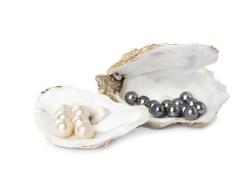 Oyster shells with different pearls on white background