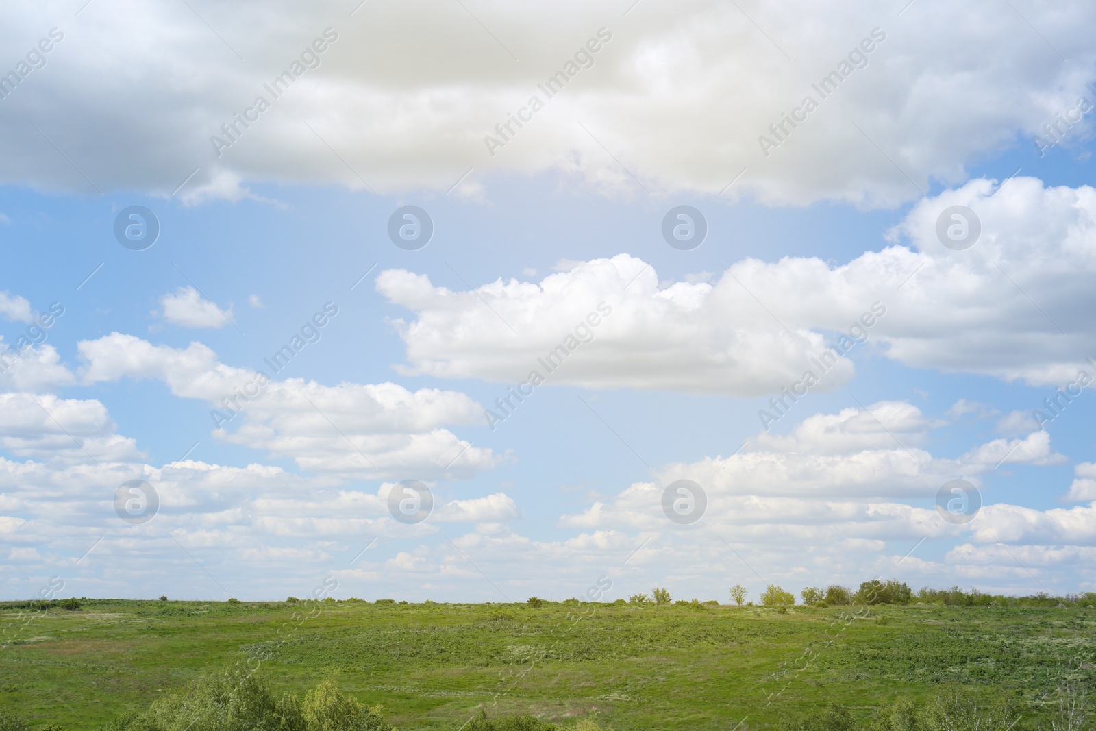 Photo of Beautiful landscape with green trees on sunny day