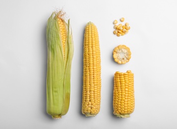 Flat lay composition with tasty sweet corn cobs on white background