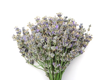 Photo of Beautiful blooming lavender flowers on white background