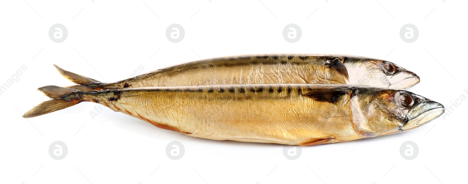 Photo of Tasty smoked mackerel fish isolated on white, top view