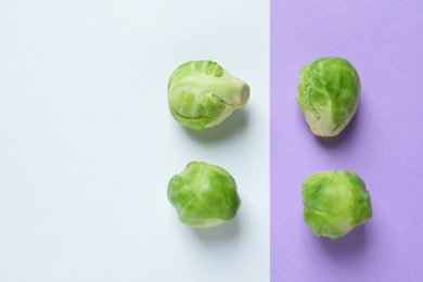 Photo of Fresh Brussels sprouts on color background, flat lay. Space for text