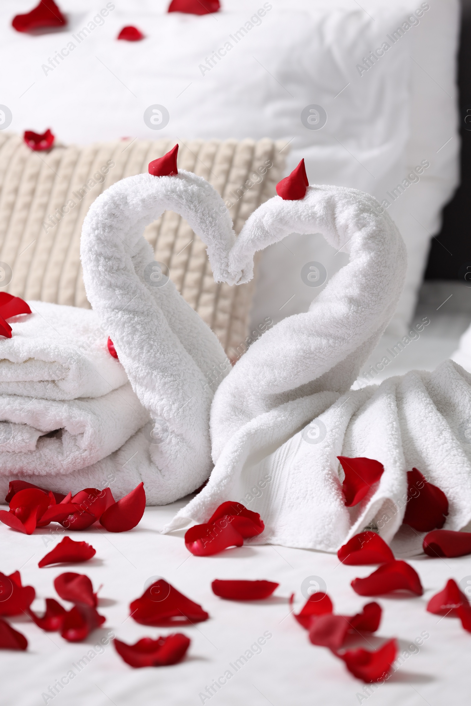 Photo of Honeymoon. Swans made with towels and beautiful rose petals on bed