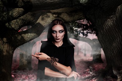 Image of Mysterious witch with spooky spider in foggy forest. Fantasy world