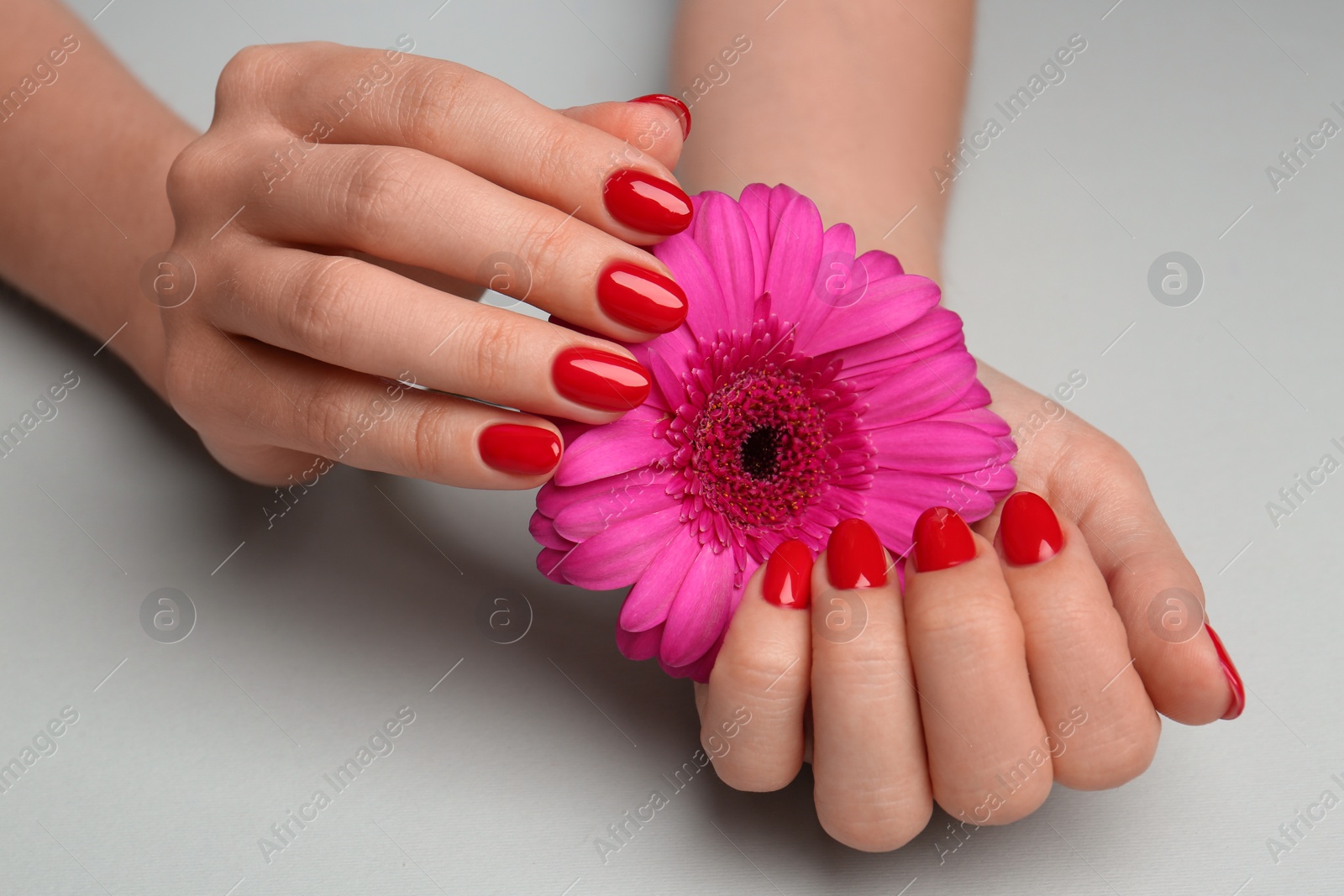 Photo of Woman with red polish on nails touching flower on white background, closeup