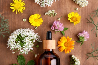 Photo of Bottle of essential oil and different wildflowers on wooden table, flat lay
