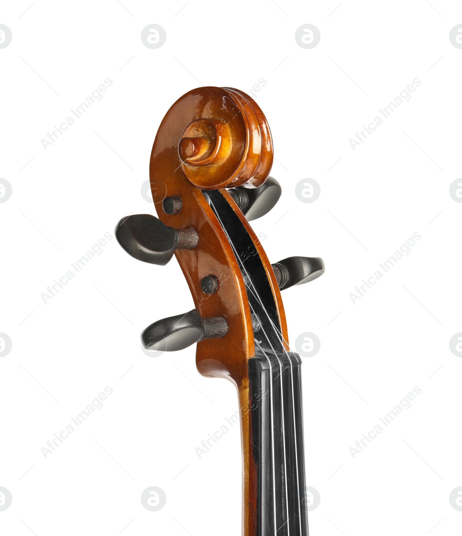 Photo of Beautiful classic violin isolated on white, closeup. Musical instrument