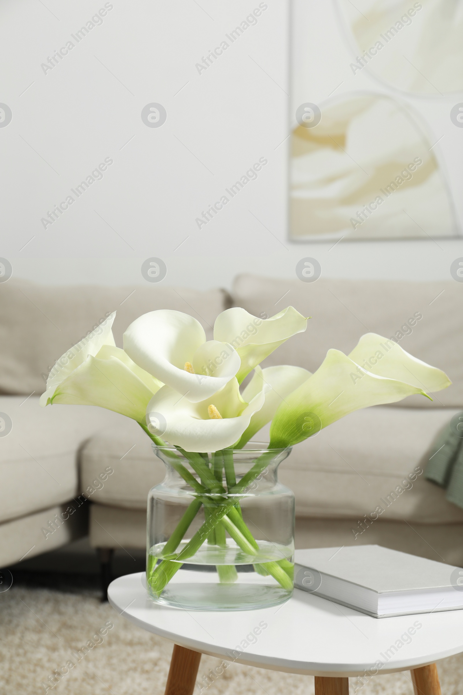 Photo of Beautiful calla lily flowers in glass vase and book on white table indoors