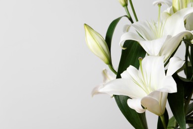 Photo of Beautiful lily flowers on white background, closeup. Space for text