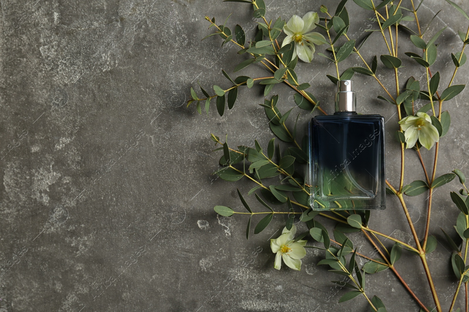 Photo of Beautiful composition with bottle of perfume on grey background, flat lay