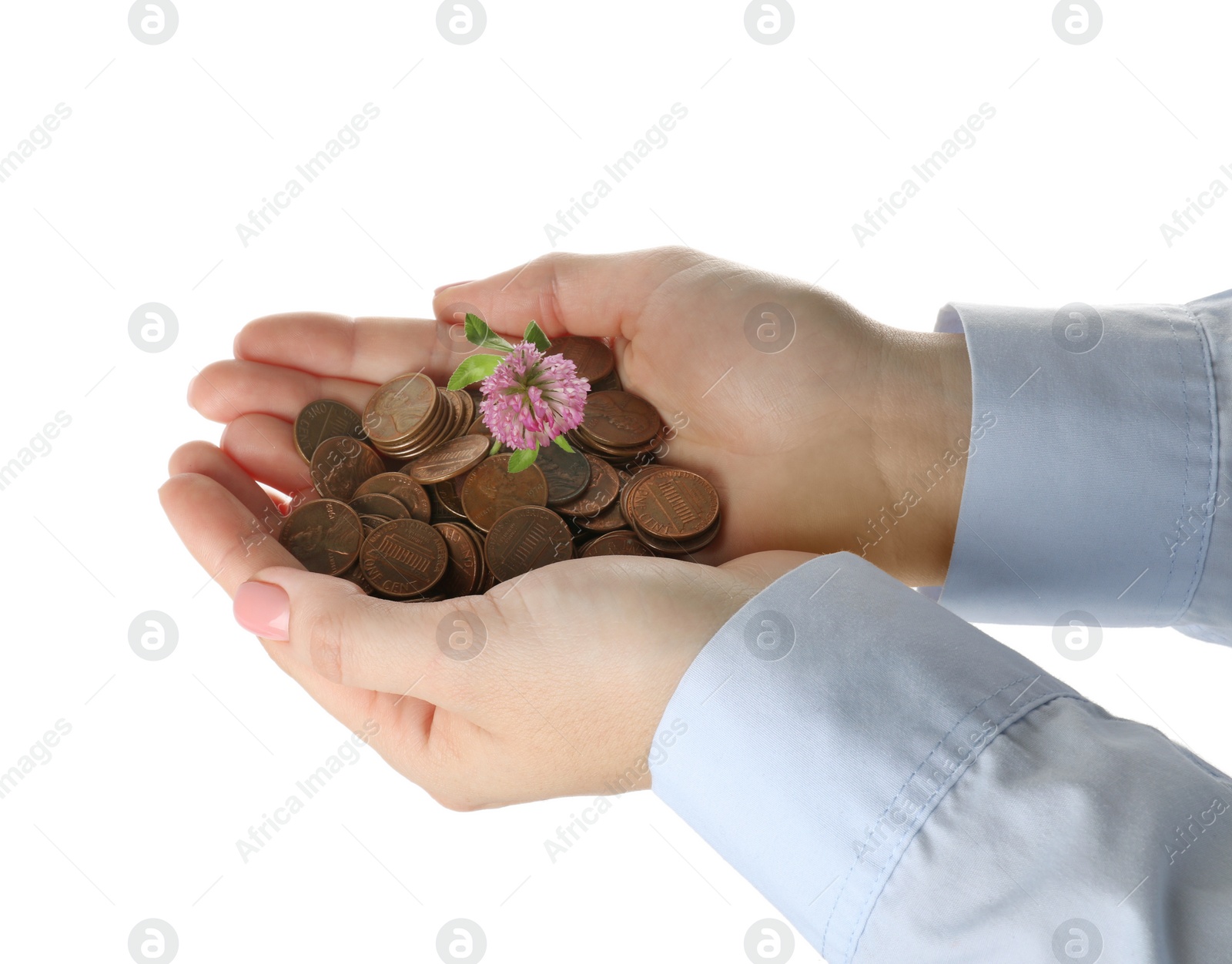 Photo of Woman holding coins with beautiful plant on white background, closeup