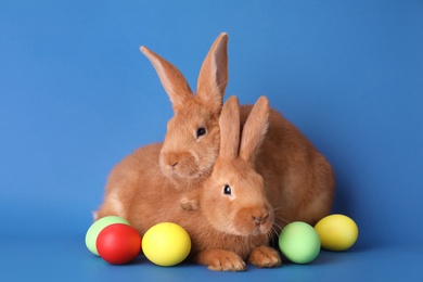 Photo of Cute bunnies and Easter eggs on blue background