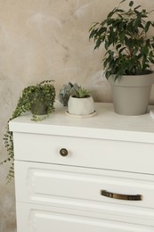 Photo of Modern chest of drawers with houseplants near beige wall