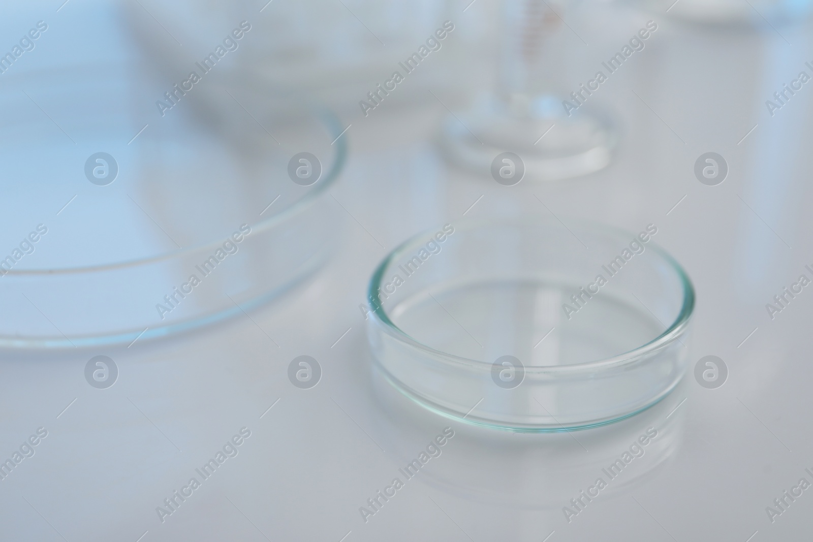 Photo of Laboratory analysis. Glass Petri dishes on white table, closeup