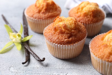 Delicious sweet muffins, vanilla pods on light grey textured table, closeup