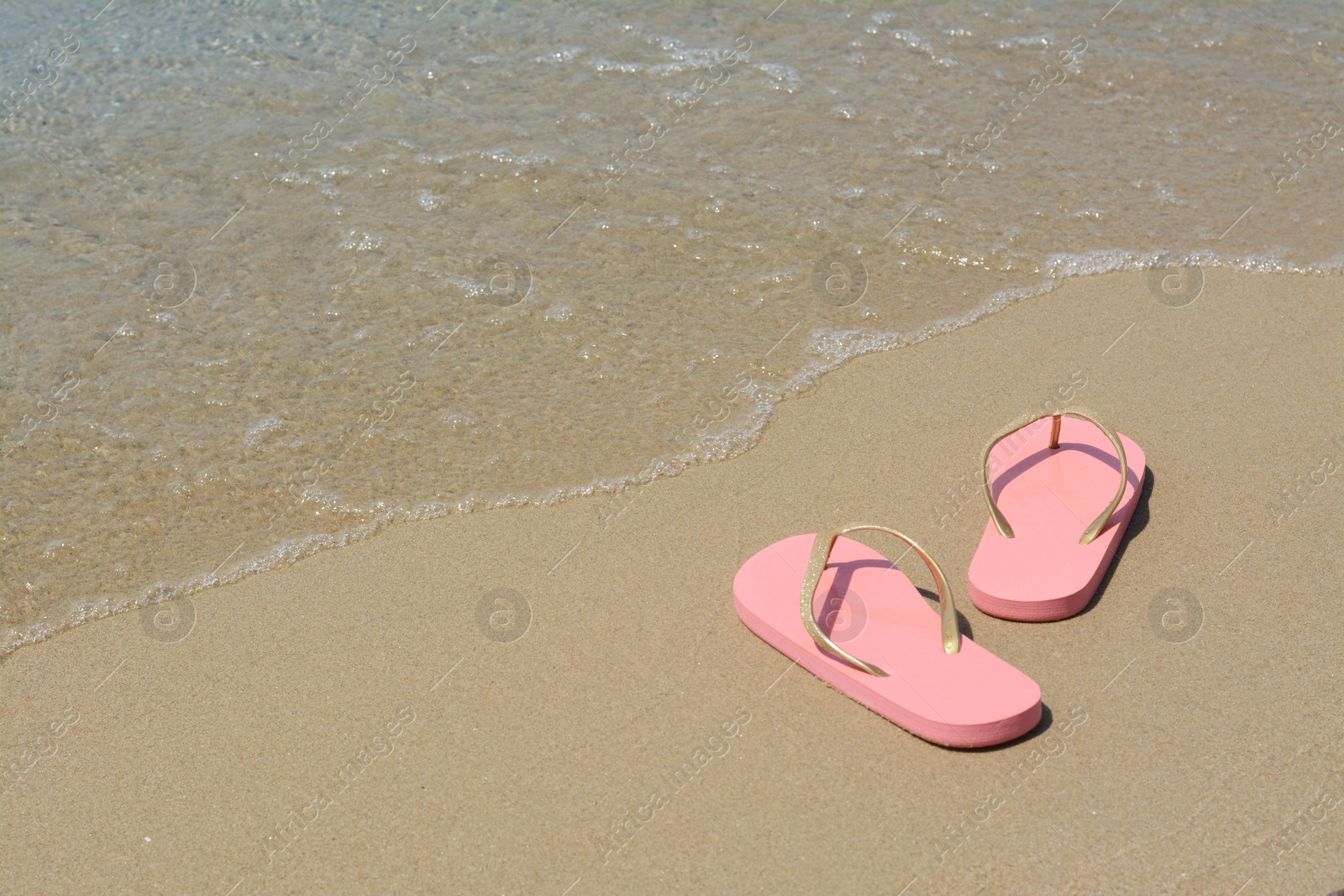 Photo of Stylish pink flip flops on wet sand near sea, space for text