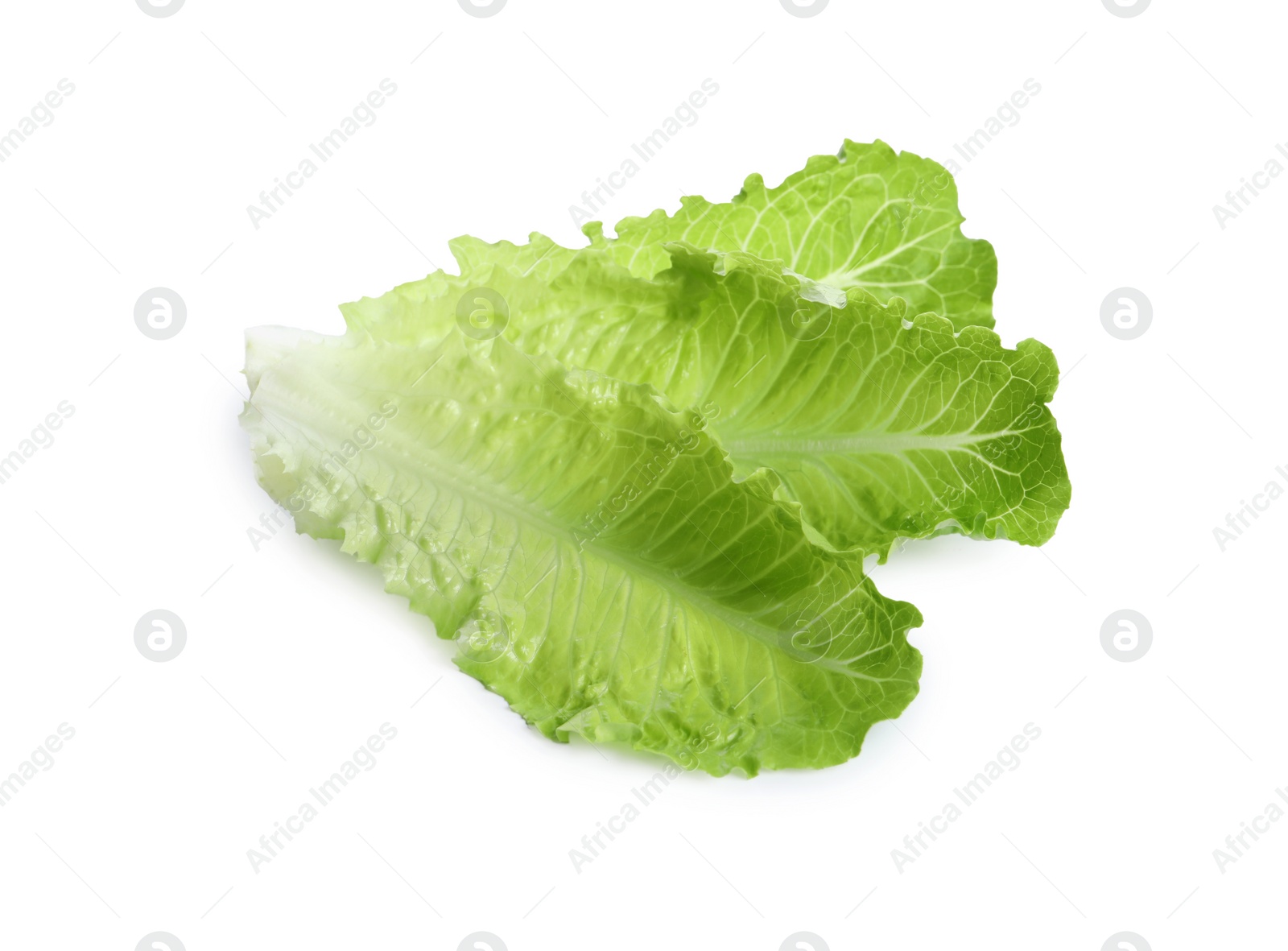 Photo of Fresh green leaves of romaine lettuce isolated on white