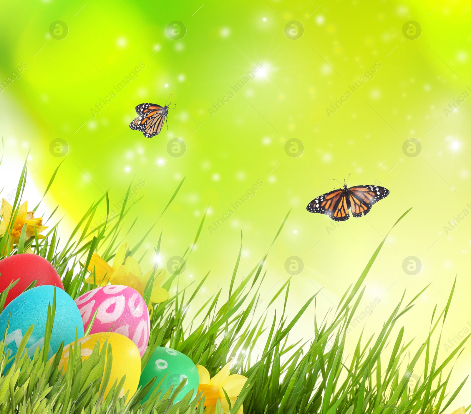 Image of Colorful Easter eggs with flowers in green grass and butterflies on blurred background