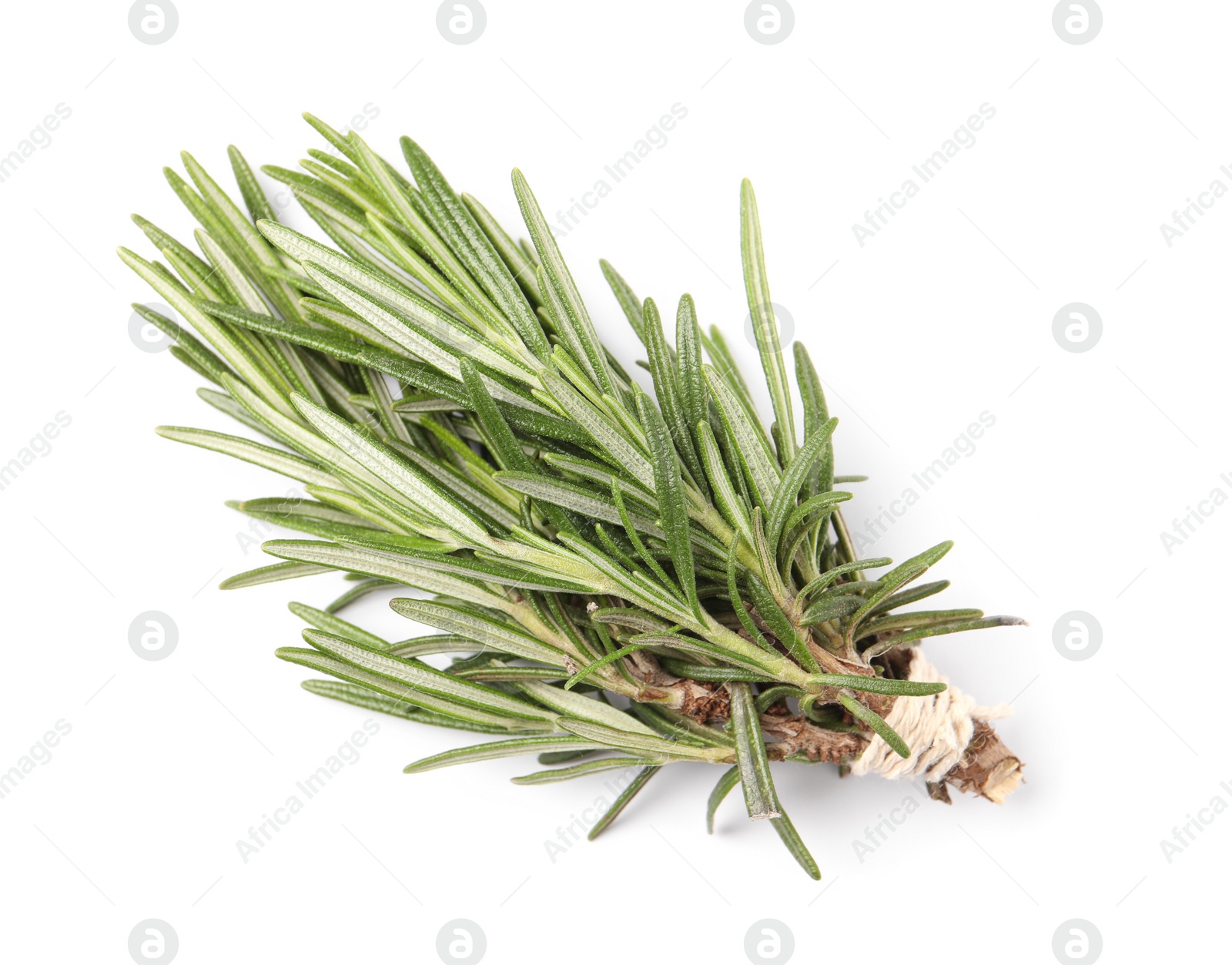 Photo of Bunch of fresh rosemary isolated on white, top view