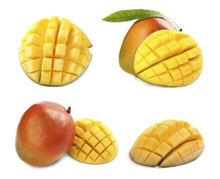 Set of delicious mangoes on white background