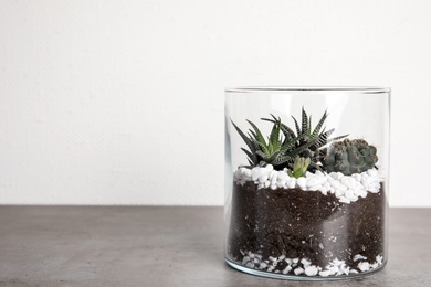 Glass florarium with different succulents on table against white background, space for text