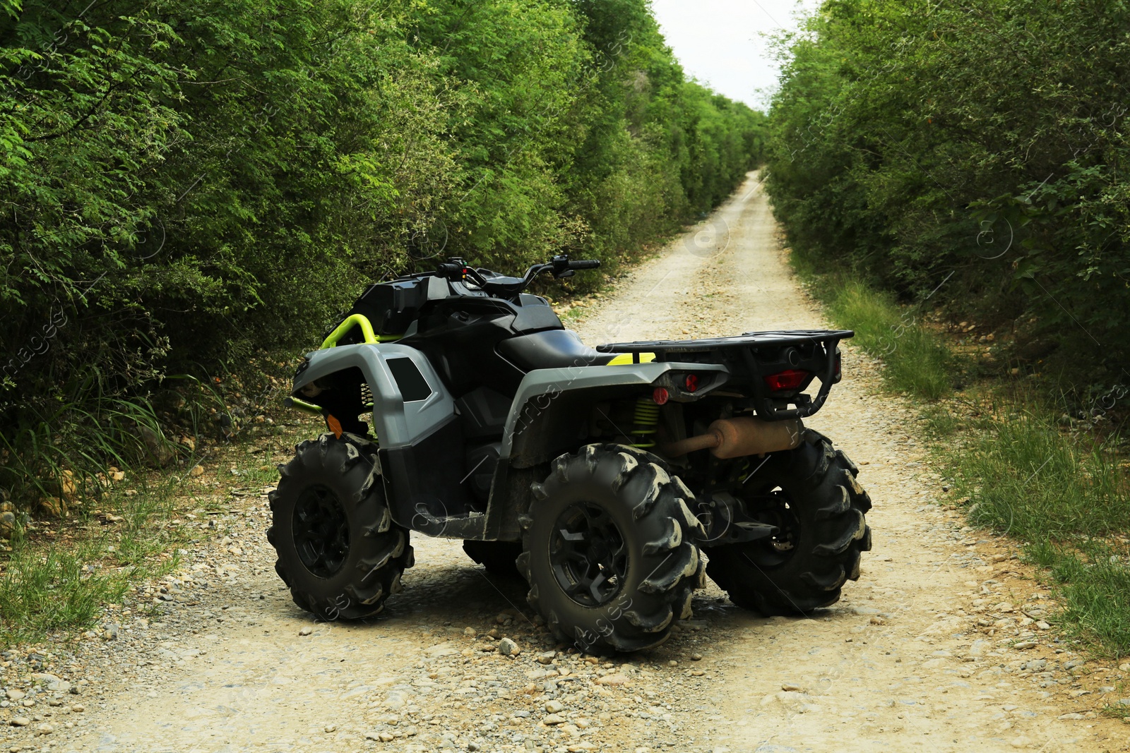 Photo of Beautiful quad bike on pathway near trees outdoors