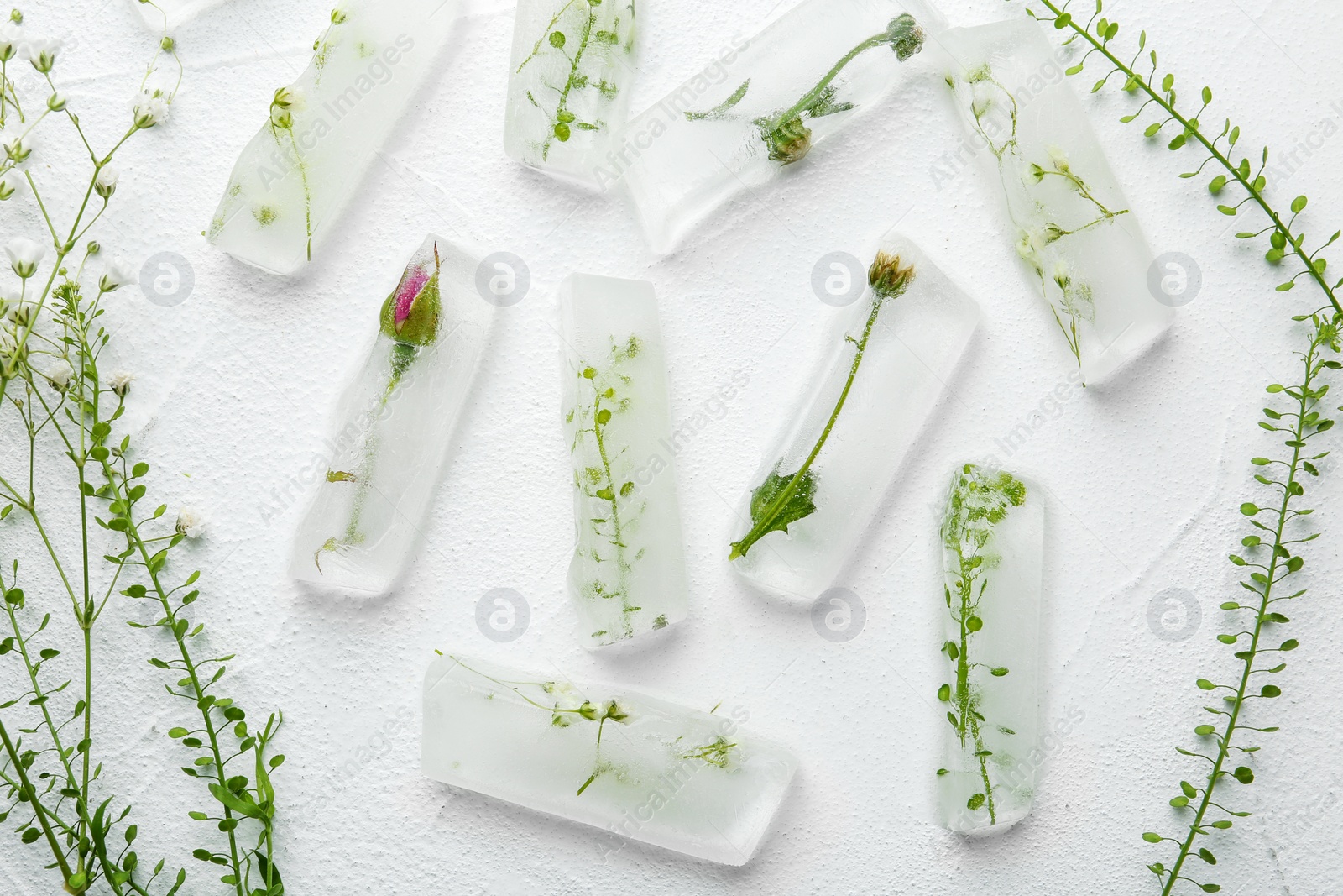 Photo of Ice cubes with flowers on white background, flat lay