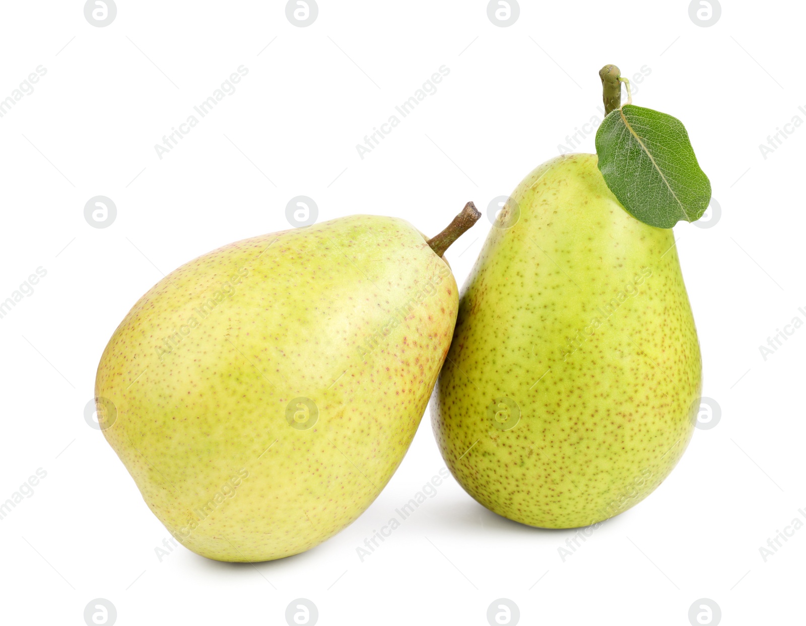 Photo of Tasty ripe pears with leaf on white background