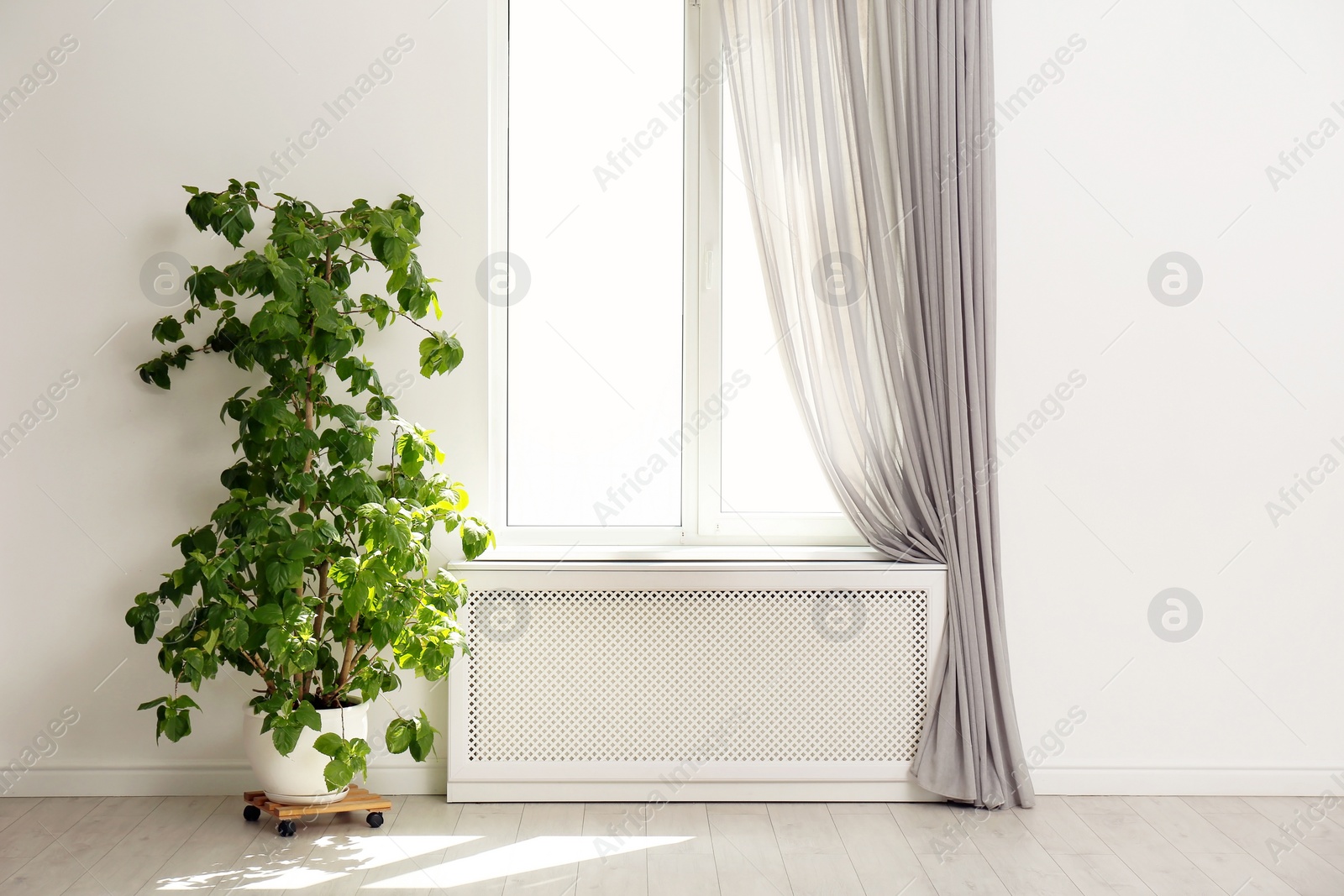 Photo of Light room with window and open curtains. Home interior