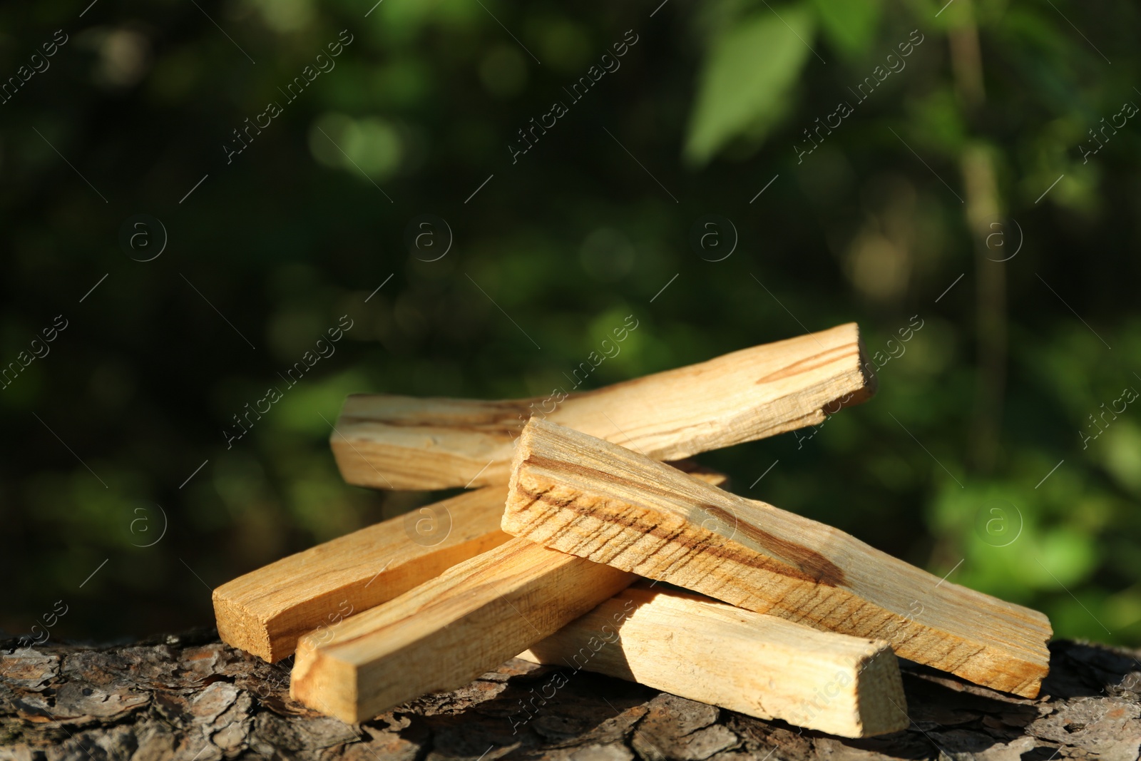 Photo of Palo santo sticks on tree bark outdoors