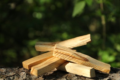 Photo of Palo santo sticks on tree bark outdoors