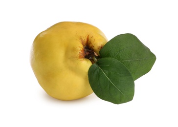 Photo of Fresh ripe quince with leaves on white background