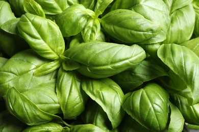 Photo of Fresh basil leaves as background, top view