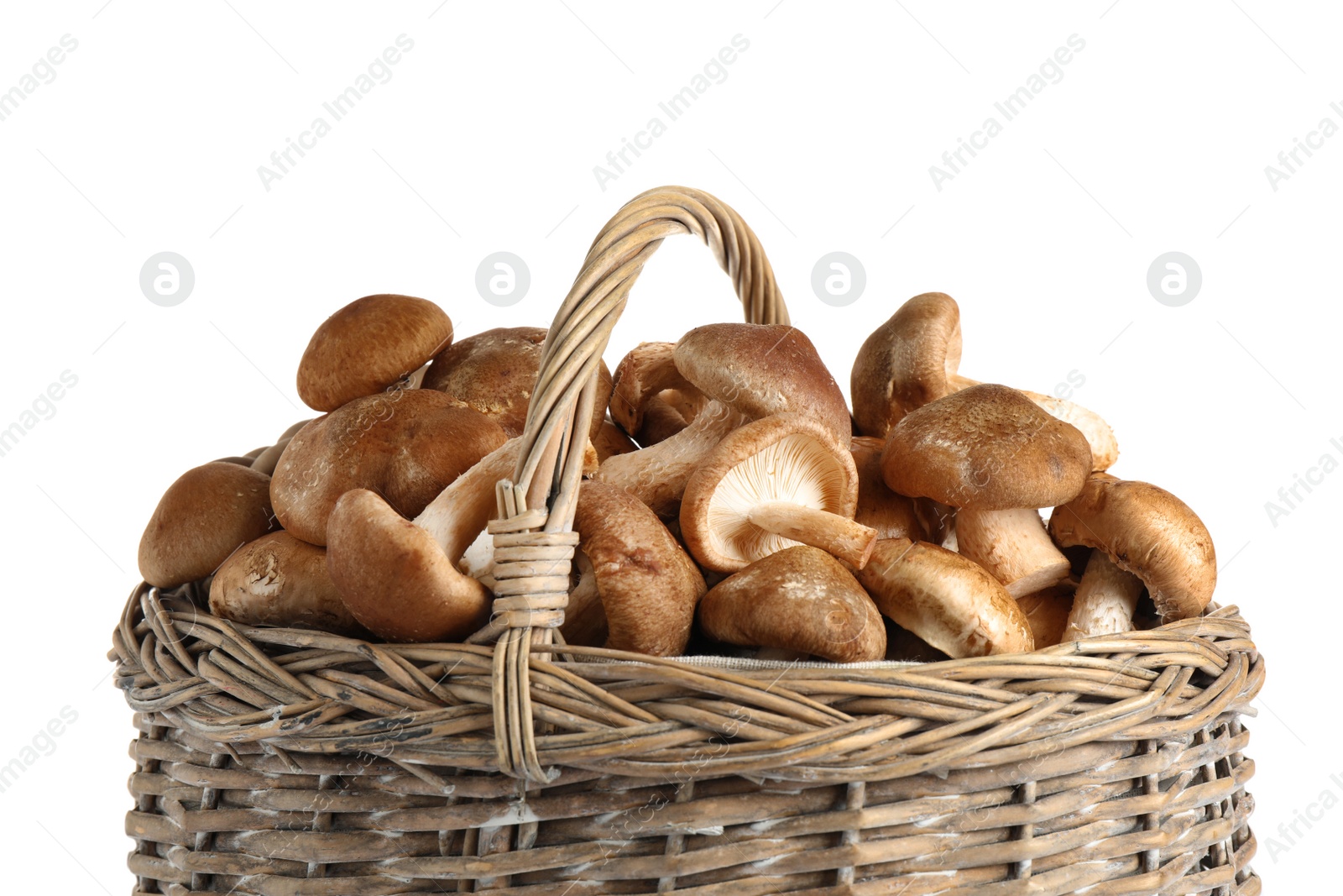 Photo of Fresh wild mushrooms in wicker basket on white background. Edible fungi