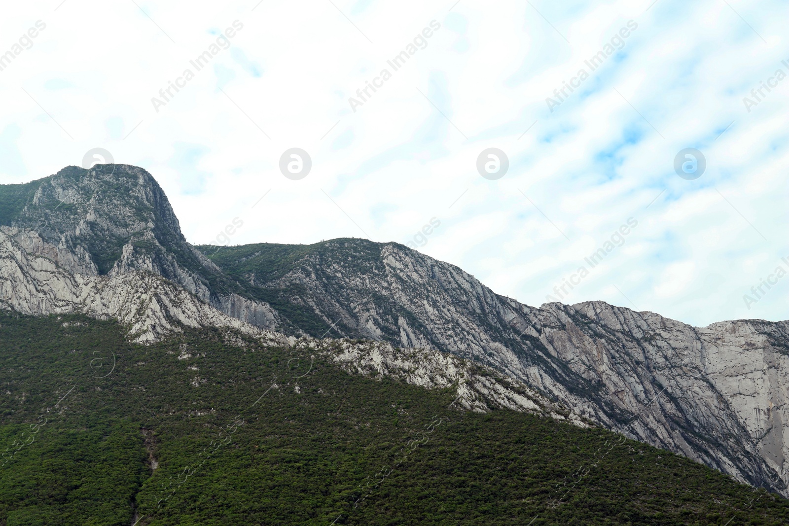 Photo of Majestic mountain landscape covered with greenery on cloudy day