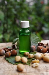 Bottle of hazelnut essential oil and nuts on wooden table