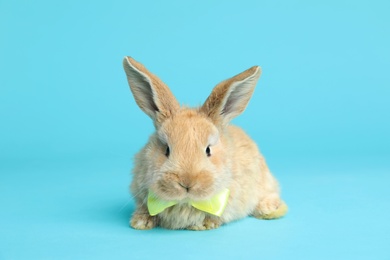 Adorable furry Easter bunny with cute bow tie on color background