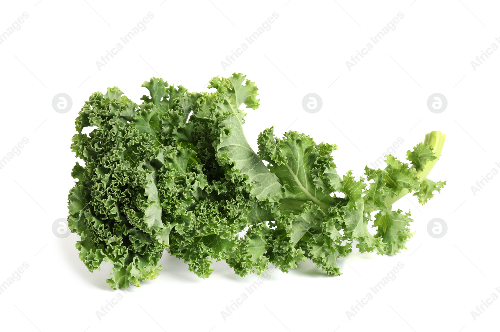 Photo of Fresh green kale leaf isolated on white