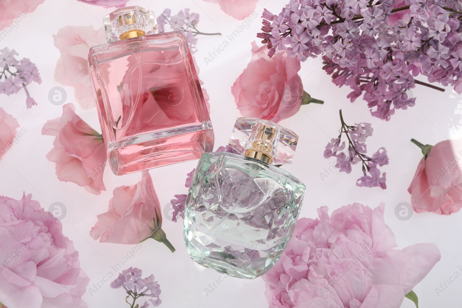 Photo of Two luxury perfumes on spring floral decor