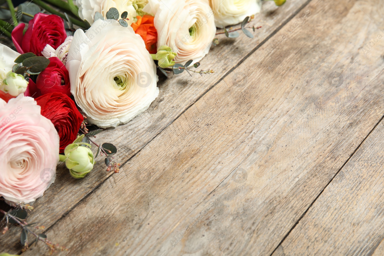 Photo of Beautiful ranunculus flowers and space for text on wooden background