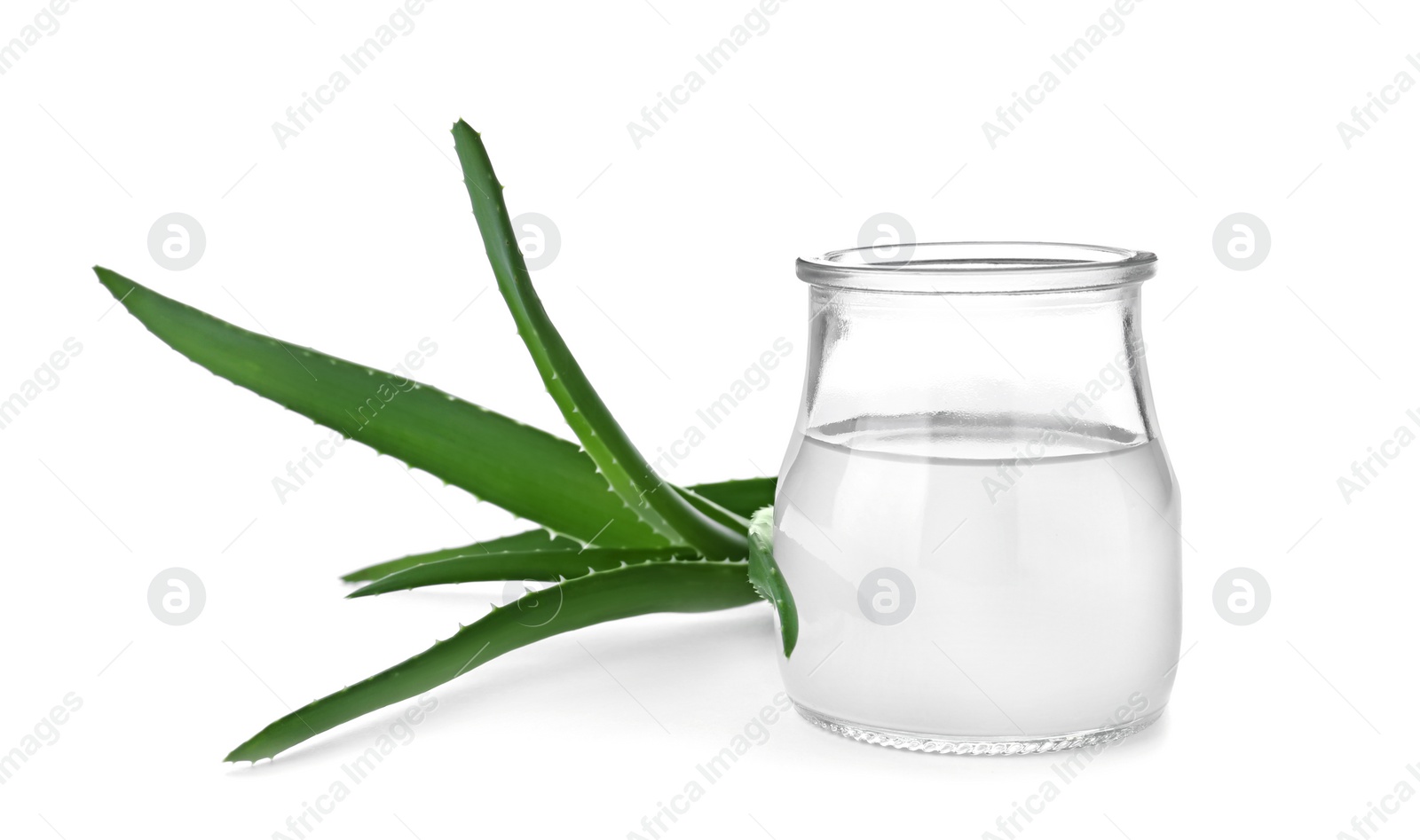 Photo of Aloe vera plant and glass jar with juice on white background