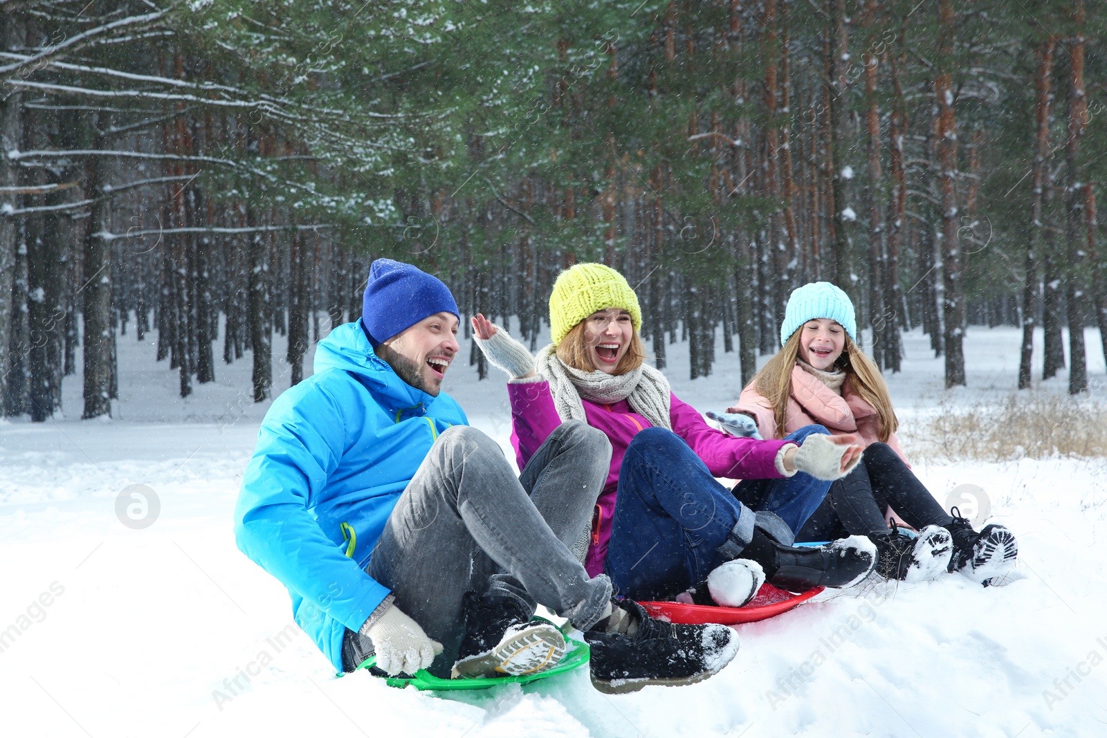 Photo of Happy family sledding in forest on snow day