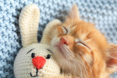 Photo of Sleeping cute little kitten with toy on light blue blanket, closeup view