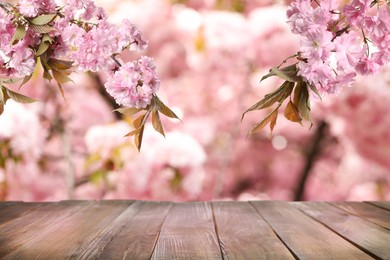 Image of Empty wooden surface and beautiful blossoming sakura tree on background