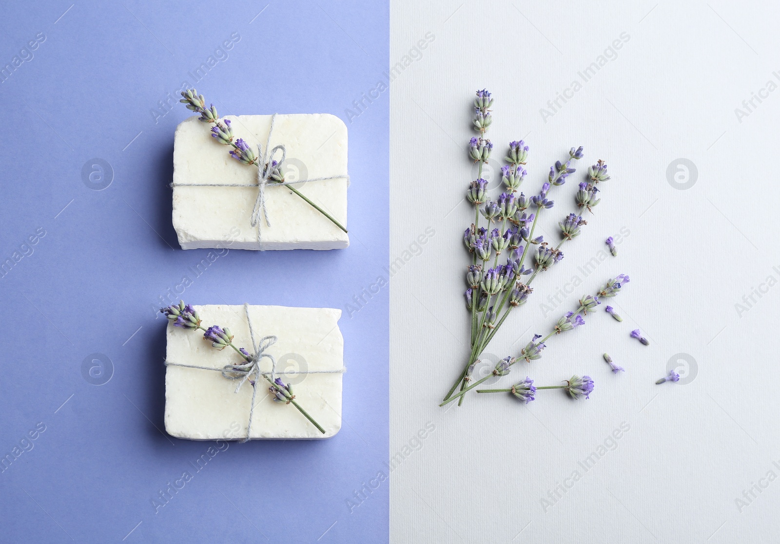 Photo of Hand made soap bars with lavender flowers on color background, flat lay