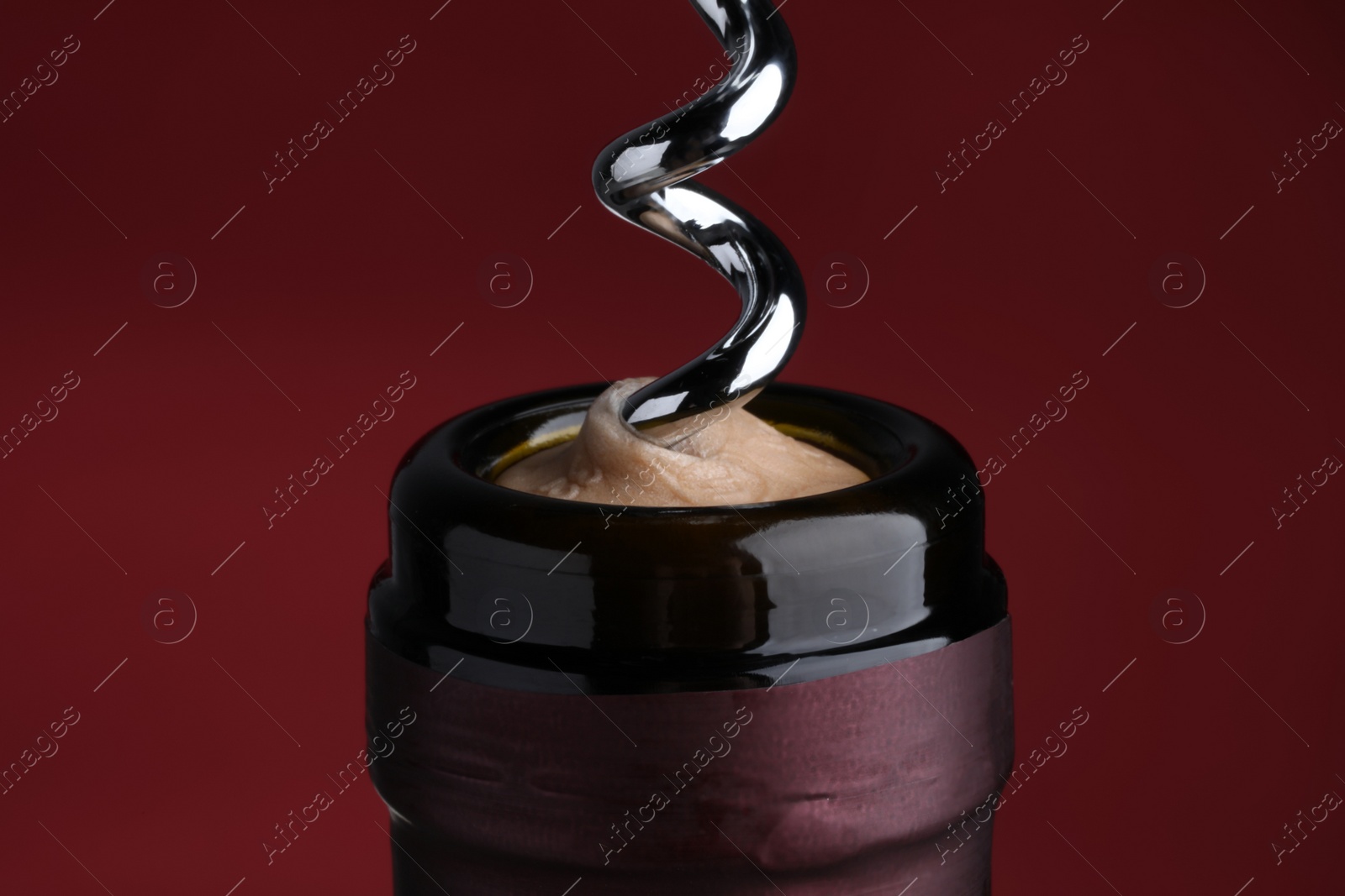 Photo of Opening bottle of wine with corkscrew on burgundy background, closeup